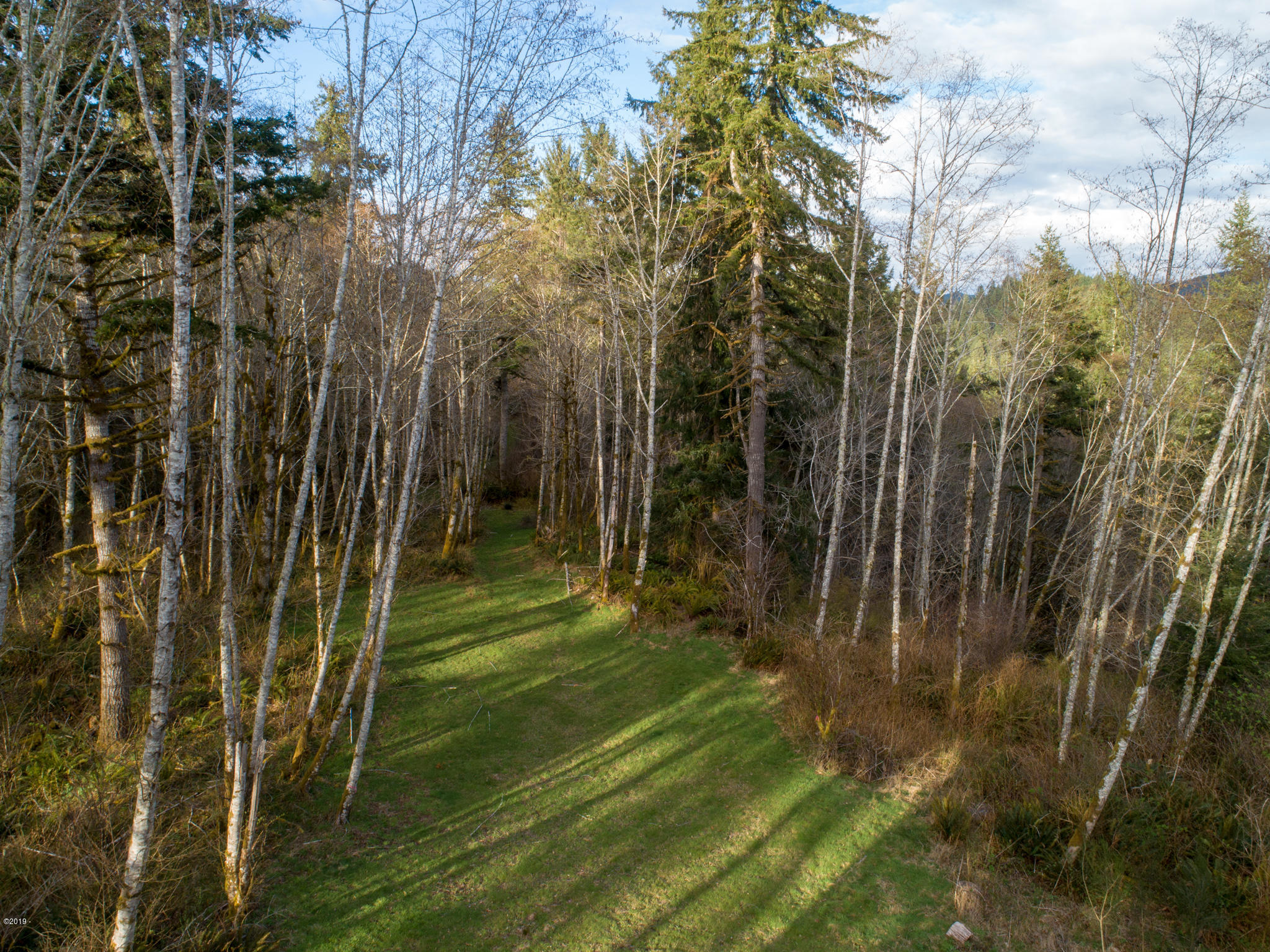 2 Olalla Road Toledo, OR 97391 - Photo 6 of 14 Olalla Road Toledo (5)