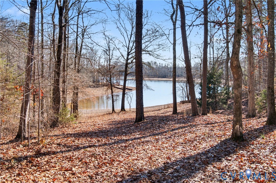 475 Dove Road Boydton, VA 23917 - Photo 30 of 42