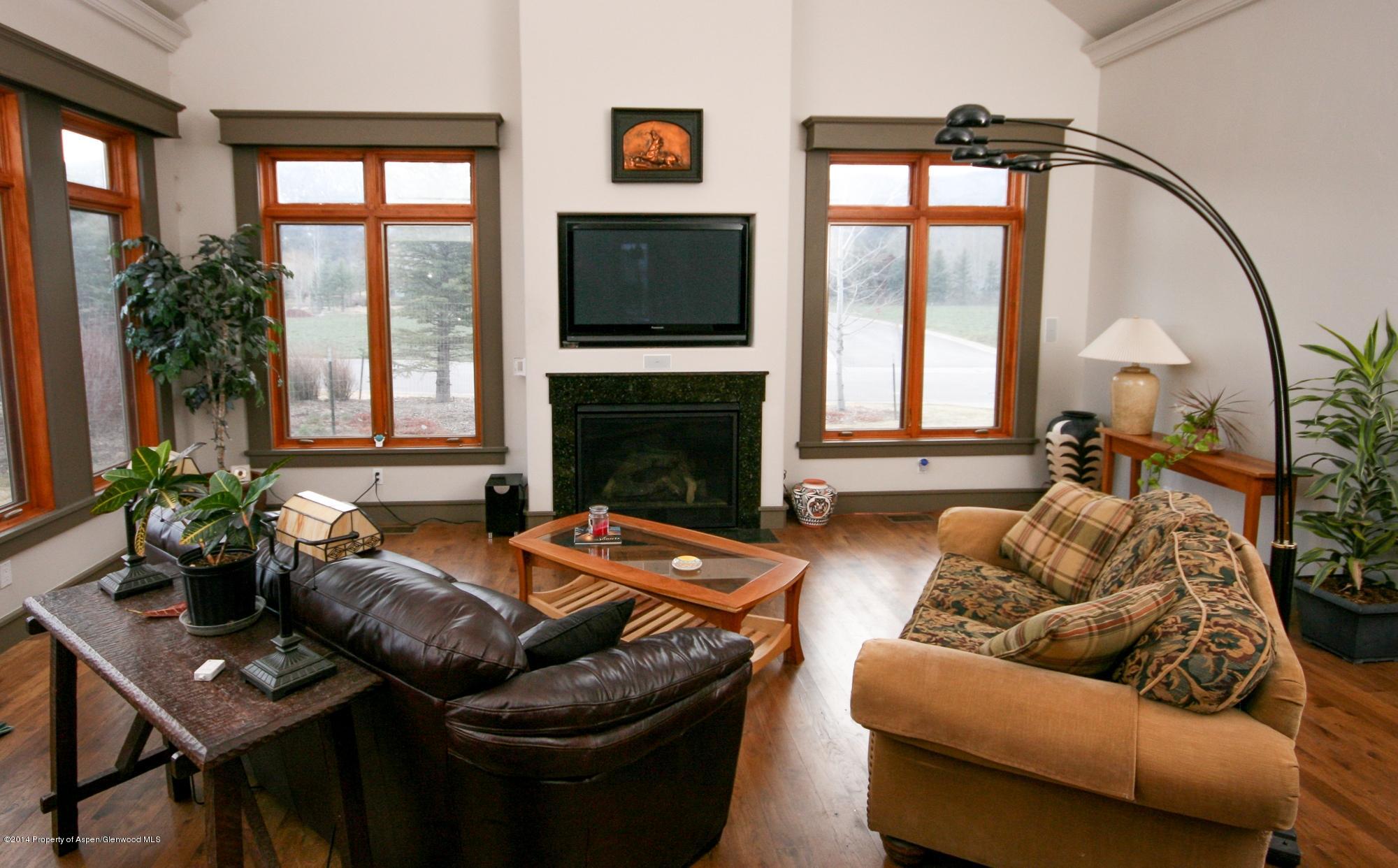 210 Diamond A Ranch Road Carbondale, CO 81623 - Photo 3 of 14 a living room with furniture or floor to ceiling window and potted plants
