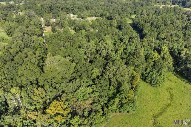 $70,000 | Tbd Tbd Port, Pride, LA 70770