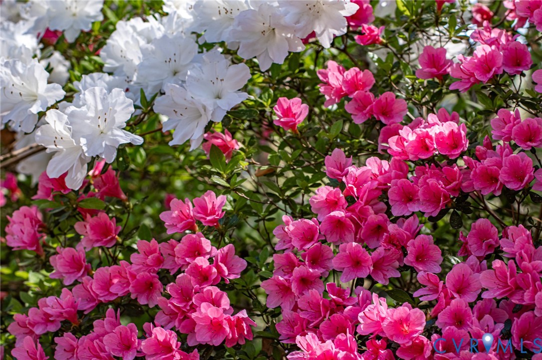 10801 Old Stage Road Prince George, VA 23875 - Photo 20 of 24