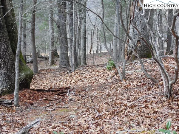 $7,500 | Happy Woods Drive, Grassy Creek, NC 28631
