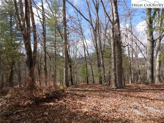 $7,500 | Happy Woods Drive, Grassy Creek, NC 28631