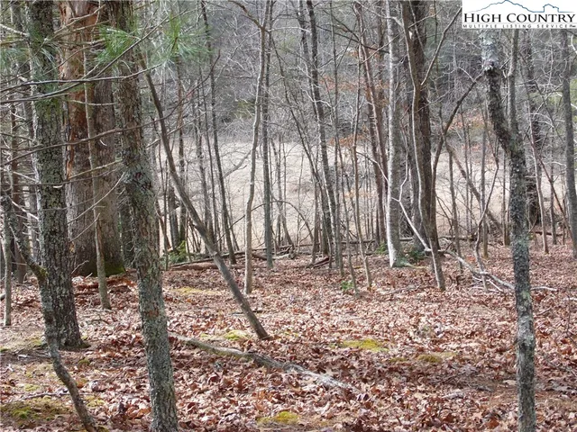 $7,500 | Happy Woods Drive, Grassy Creek, NC 28631