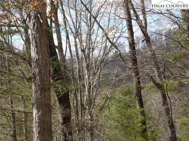 $7,500 | Happy Woods Drive, Grassy Creek, NC 28631