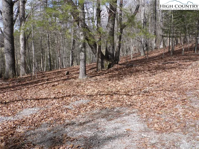 $7,500 | Happy Woods Drive, Grassy Creek, NC 28631