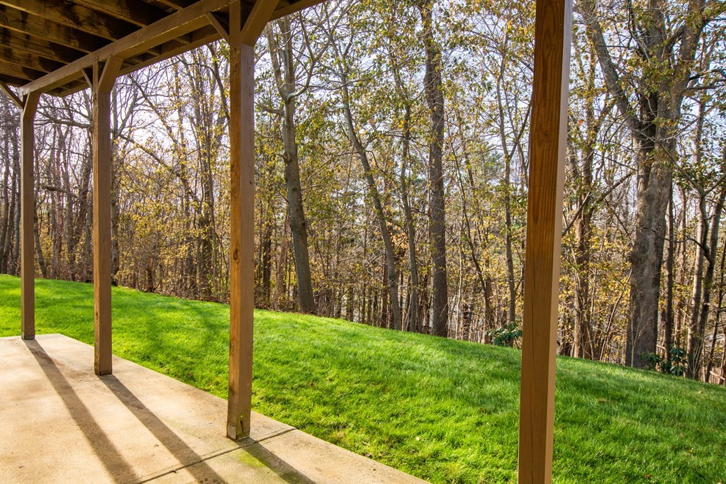 55 Wrentham Road Worcester, MA 01602 - Photo 29 of 30 a view of a yard with large trees