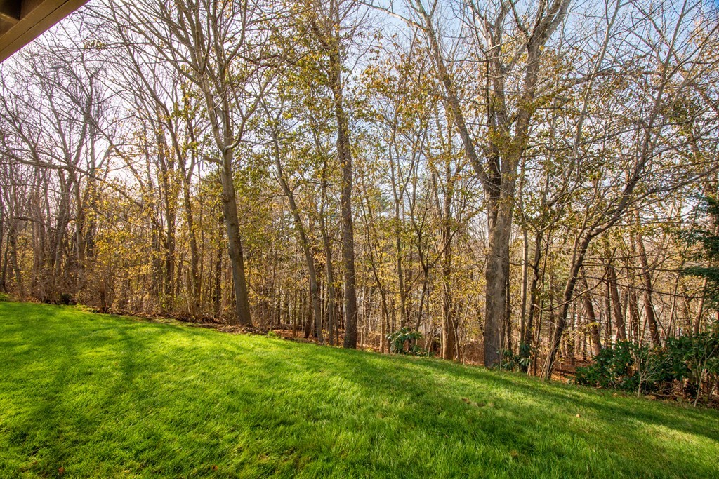 55 Wrentham Road Worcester, MA 01602 - Photo 30 of 30 a backyard of a house with lots of green space