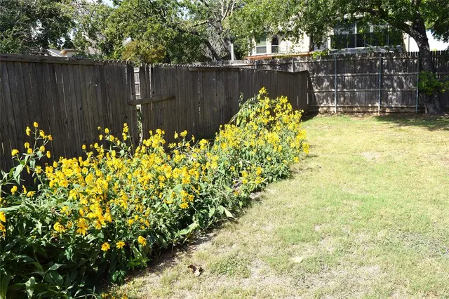 a house view with a backyard space