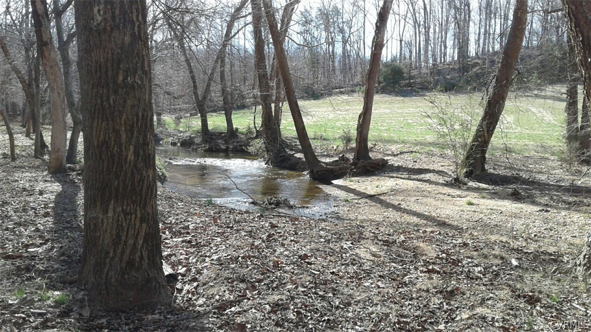 1863 Buffalo Road Dillwyn, VA 23936 - Photo 22 of 27 a view of a trees with a yard