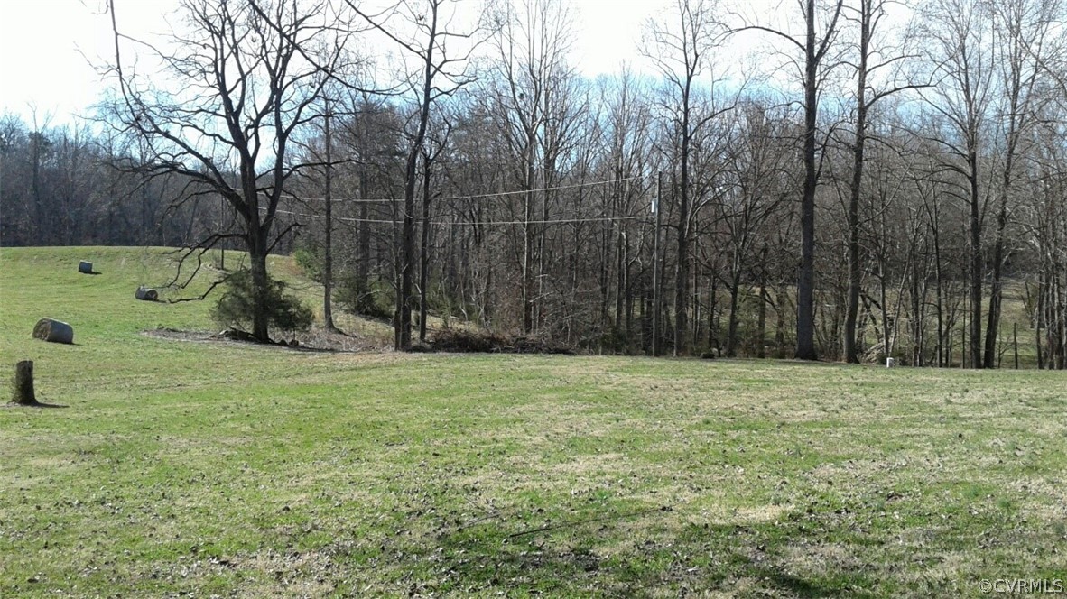 1863 Buffalo Road Dillwyn, VA 23936 - Photo 24 of 27 a fire hydrant in the middle of a field