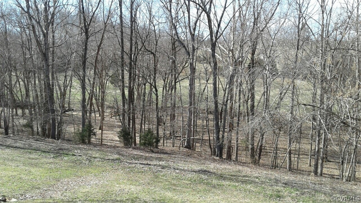 1863 Buffalo Road Dillwyn, VA 23936 - Photo 25 of 27 a backyard of a house with large trees