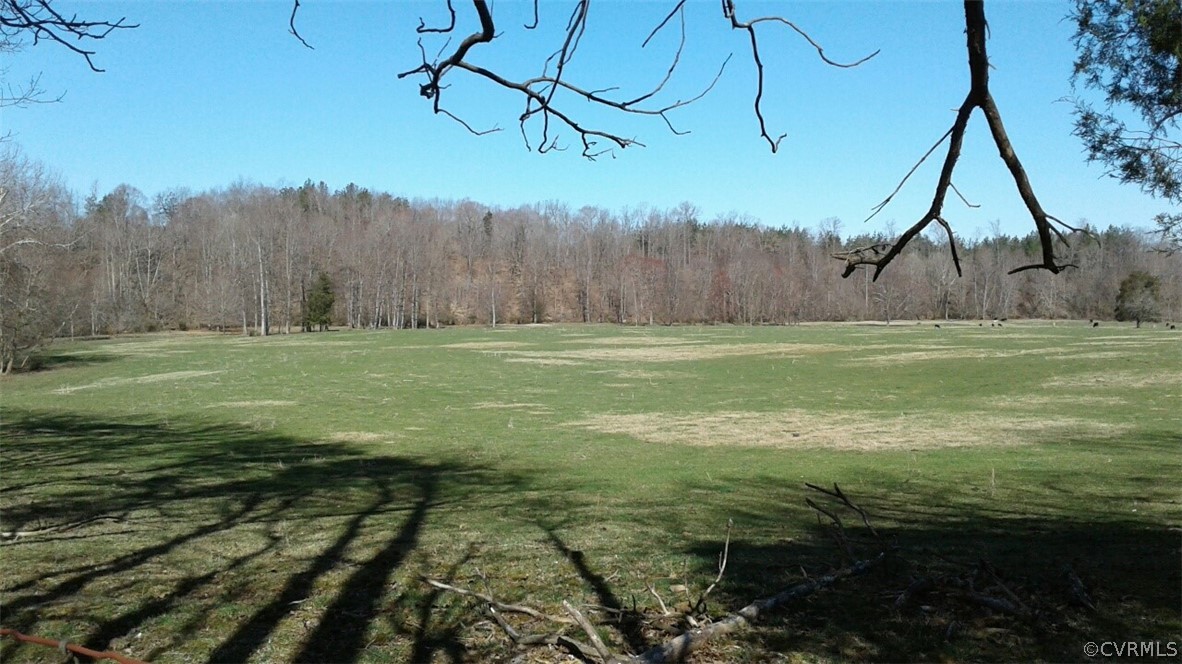 1863 Buffalo Road Dillwyn, VA 23936 - Photo 26 of 27 a view of a golf ground with green space