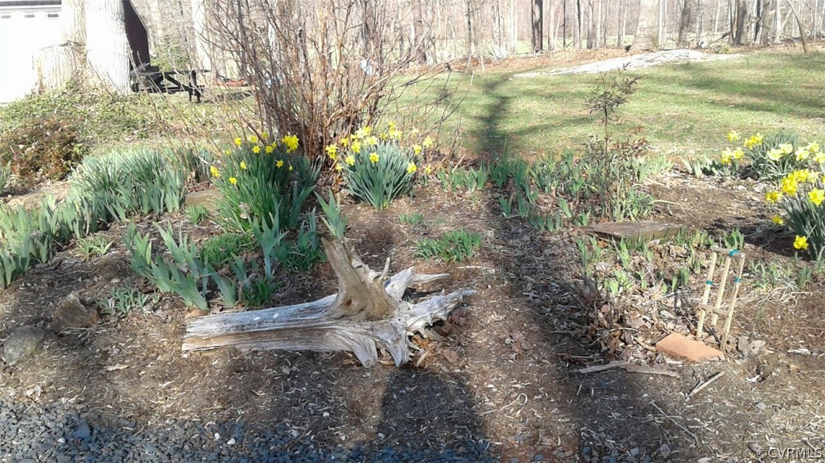 1863 Buffalo Road Dillwyn, VA 23936 - Photo 27 of 27 a view of outdoor space and yard