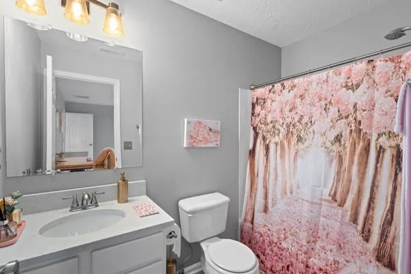 a bathroom with a sink toilet and a mirror