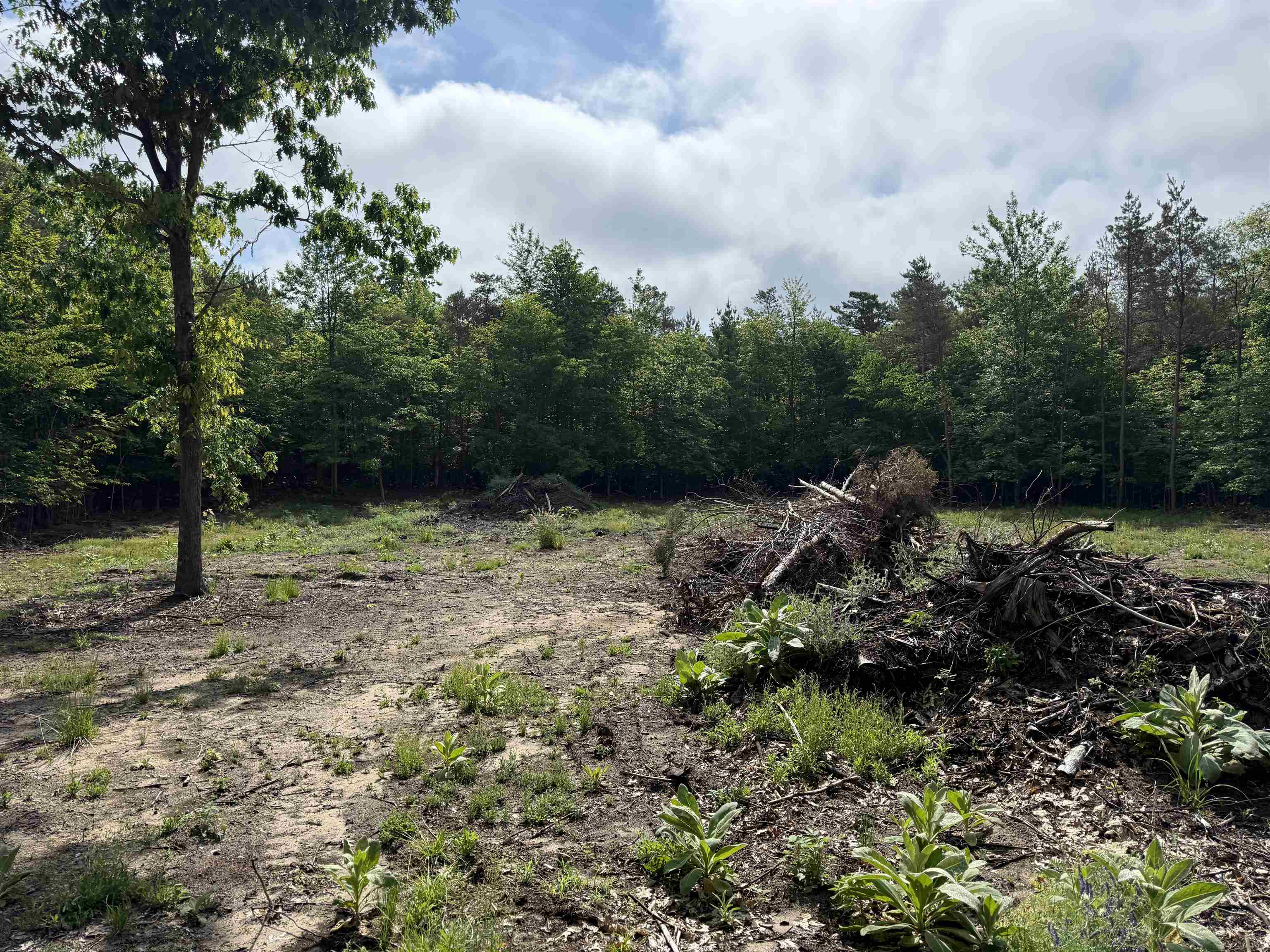 19493 Paradise Ridge Trail Cedar, MI 49684 - Photo 10 of 19