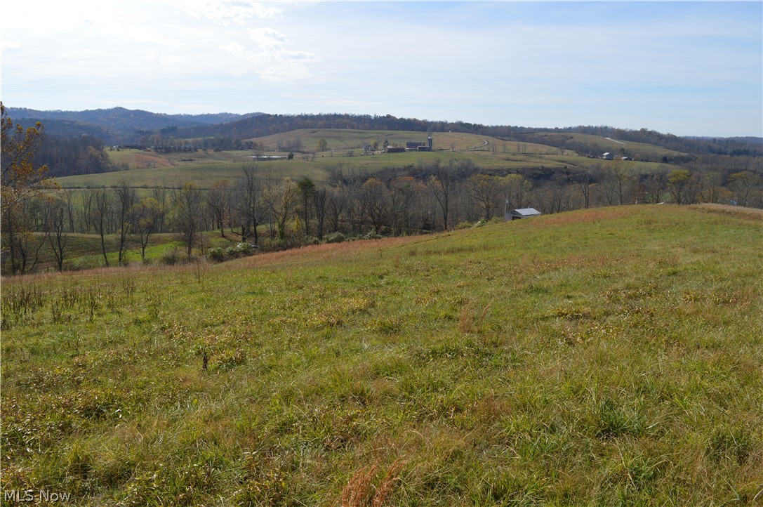 Allen Run Road Sistersville, WV 26175 - Photo 8 of 8