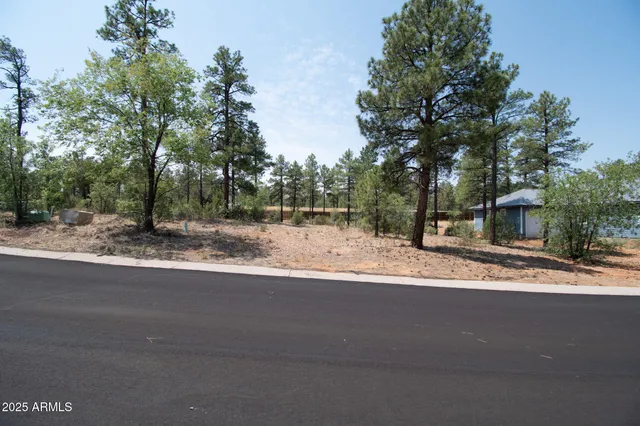 $64,999 | 381 East Huckleberry Lane, Unit 4, Show Low, AZ 85901