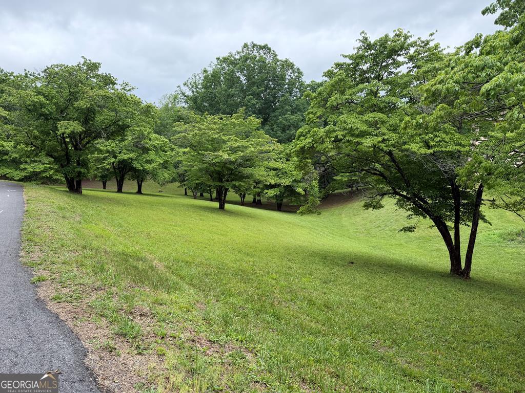 0 Drake Ridge Drive Hayesville, NC 28904 - Photo 4 of 4 a view of an trees in a yard
