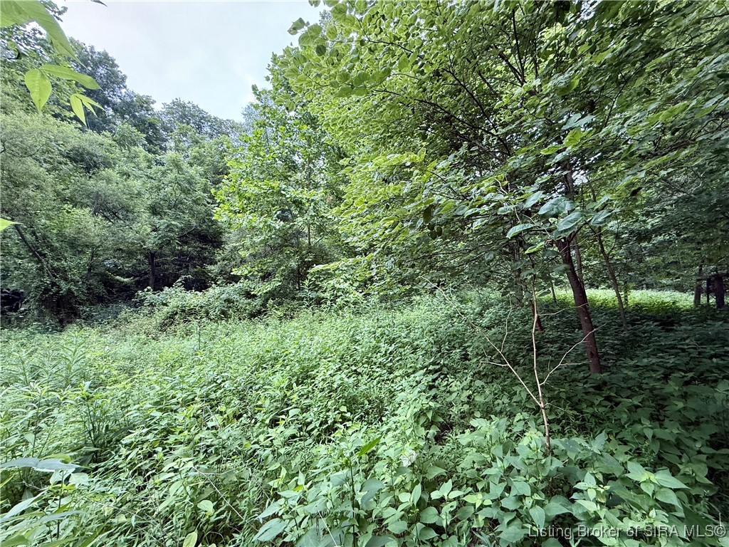 2032 West Goat Hollow Road Vallonia, IN 47281 - Photo 16 of 39