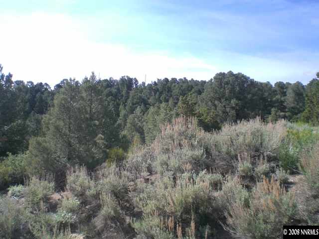 21605 Sazerac Reno, NV 89521 - Photo 2 of 3 a view of a city with lush green forest