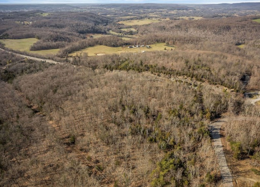 0 Old Bonair Road Sparta, TN 38583 - Photo 6 of 15