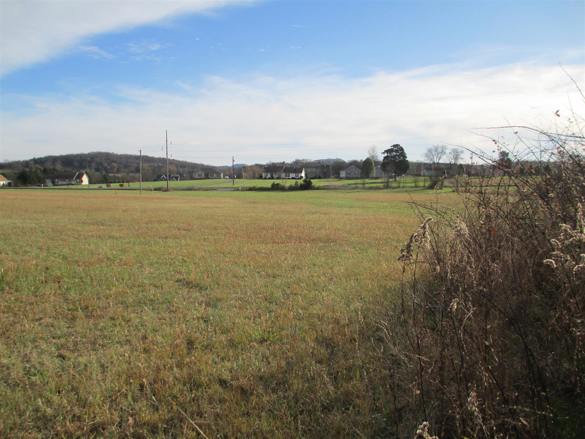 4 Roberts Road Watertown, TN 37184 - Photo 6 of 7