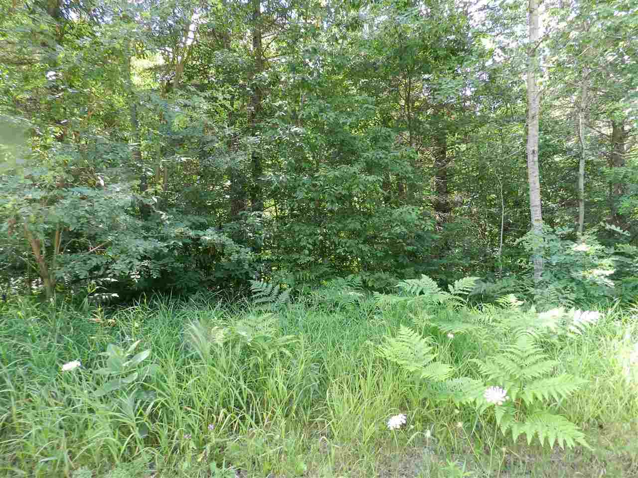 7529 Blue Road Southwest Fife Lake, MI 49633 - Photo 24 of 62 1865960-23.JPG