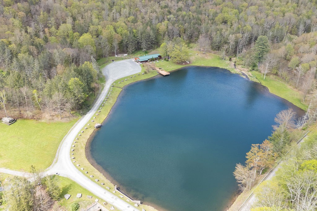 333 Rainbow Lodge Road Tompkins, NY 13856 - Photo 47 of 50