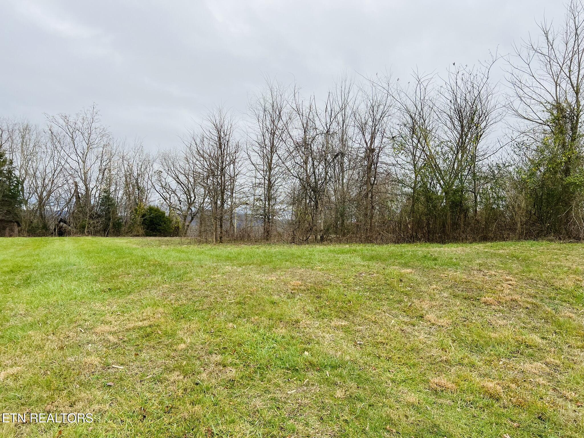 1008 Old Static Road Byrdstown, TN 38549 - Photo 11 of 27 IMG_6132