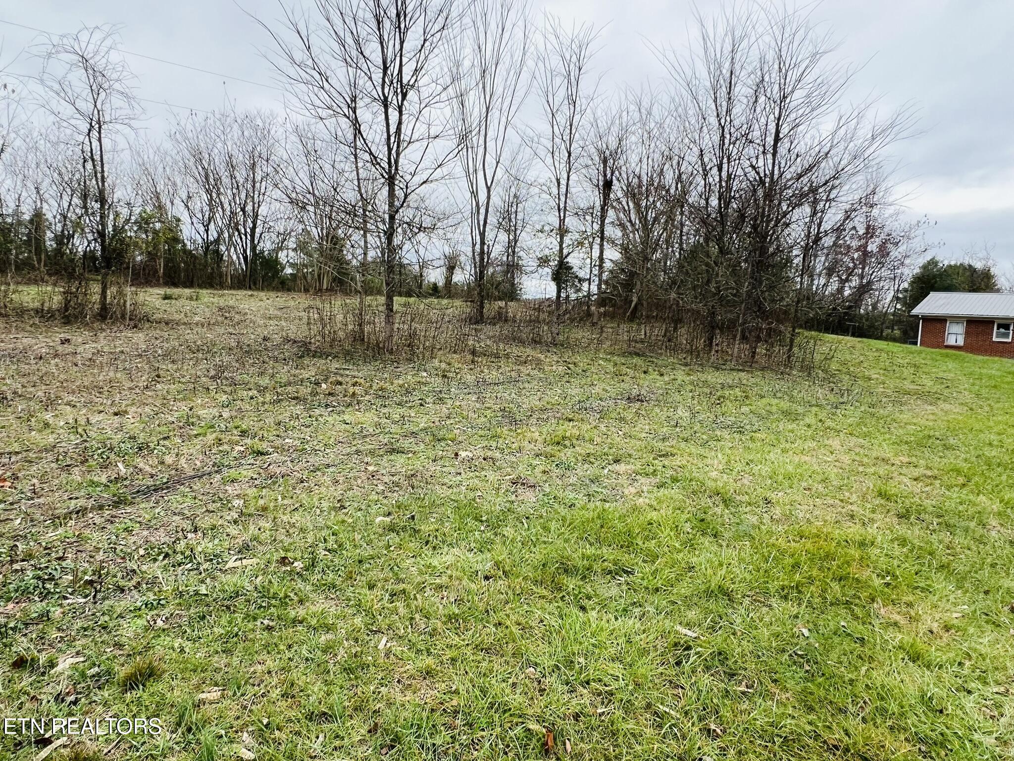1008 Old Static Road Byrdstown, TN 38549 - Photo 8 of 27 IMG_6135