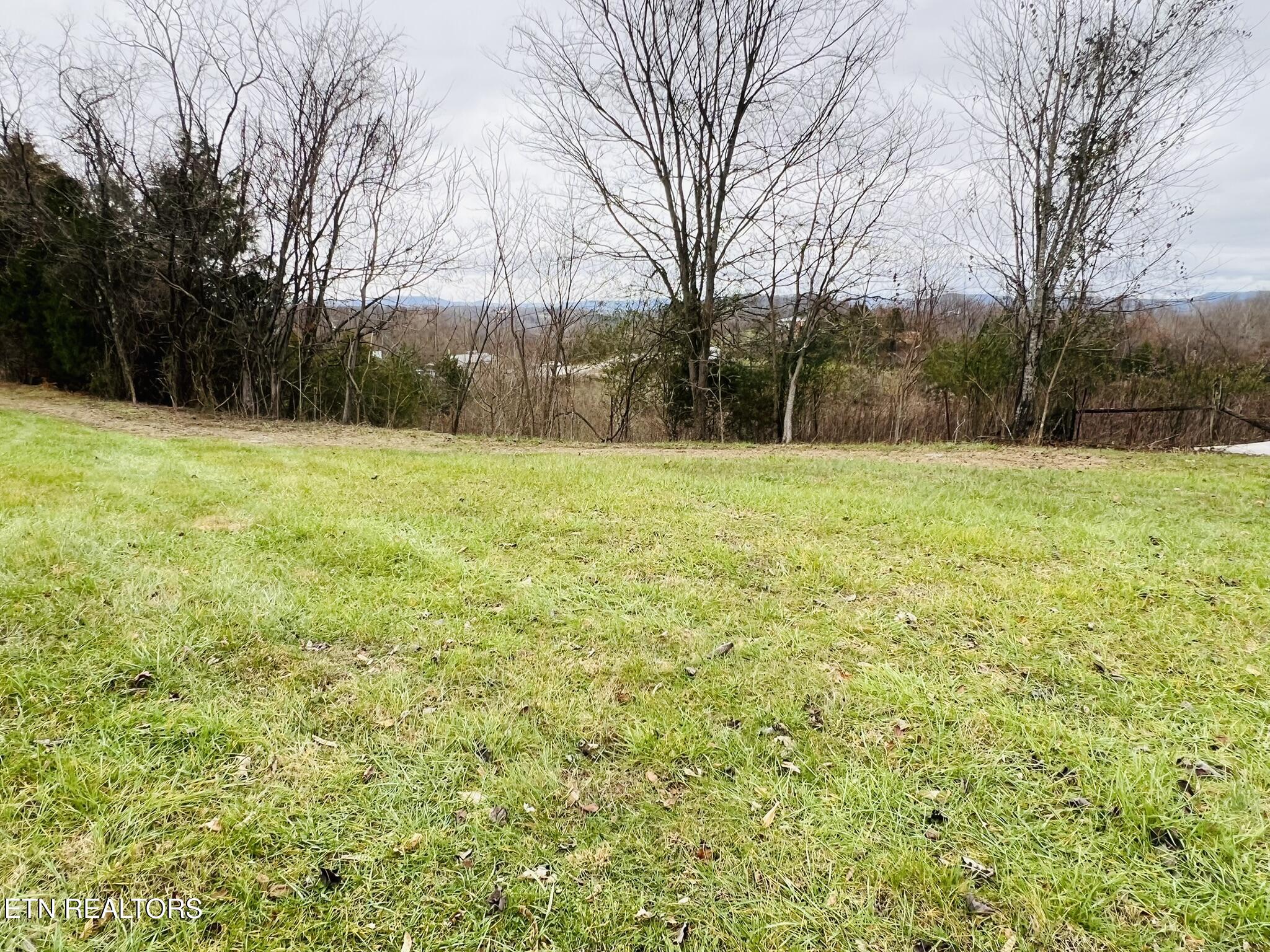 1008 Old Static Road Byrdstown, TN 38549 - Photo 10 of 27 IMG_6137