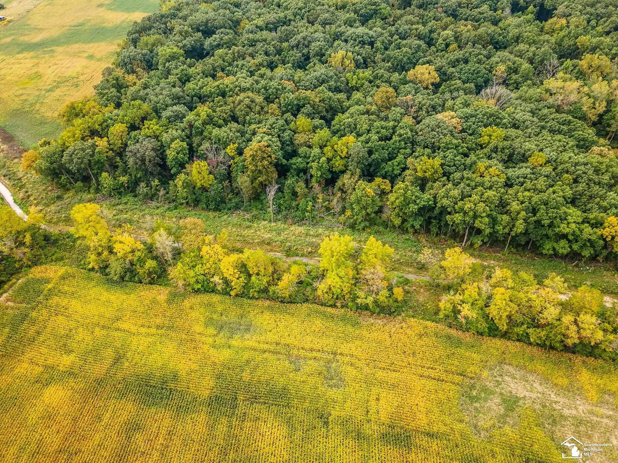 4555 South Custer Road Monroe, MI 48161 - Photo 9 of 18