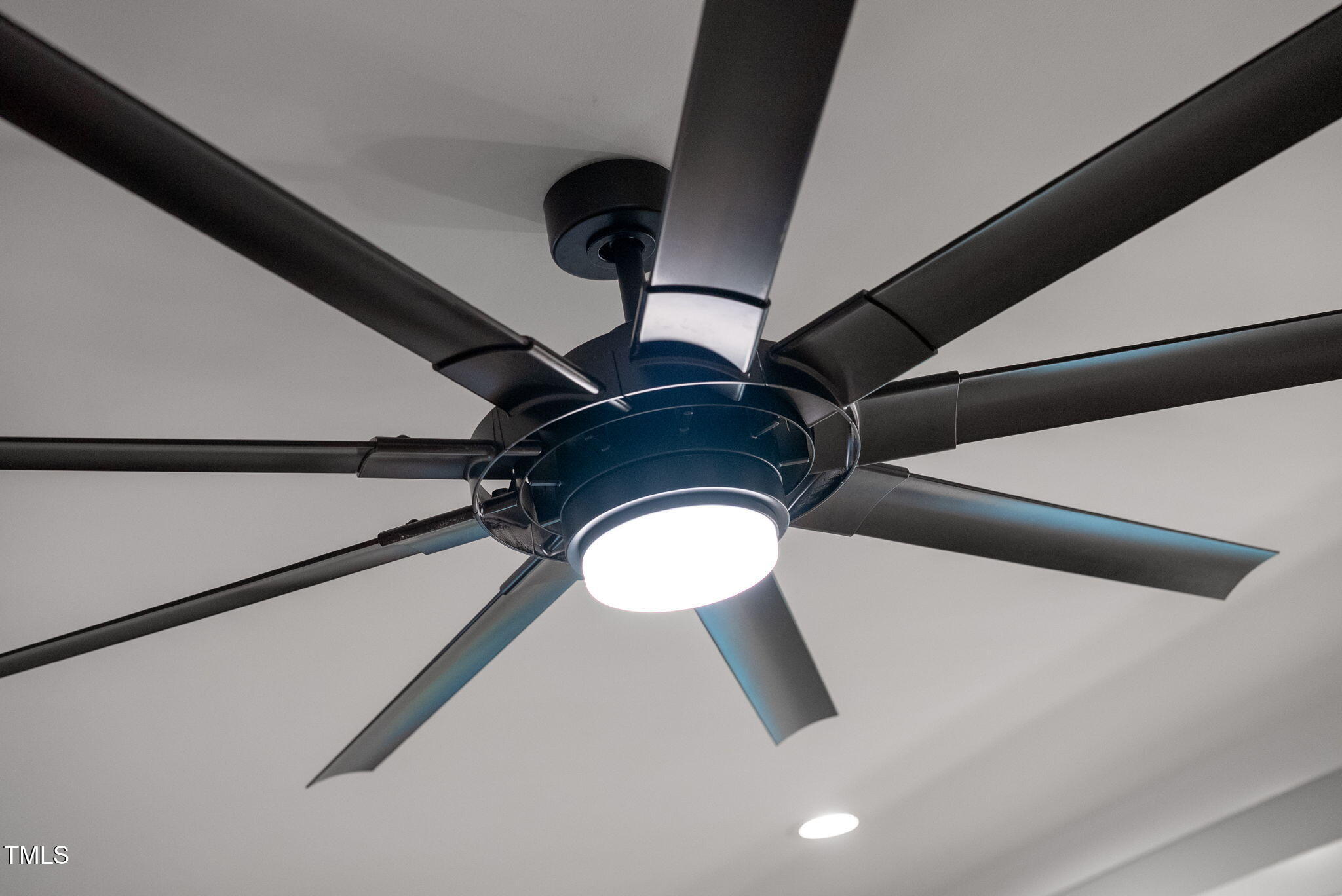 5504 Earle Road Raleigh, NC 27606 - Photo 50 of 103 5504 Earle Road-51