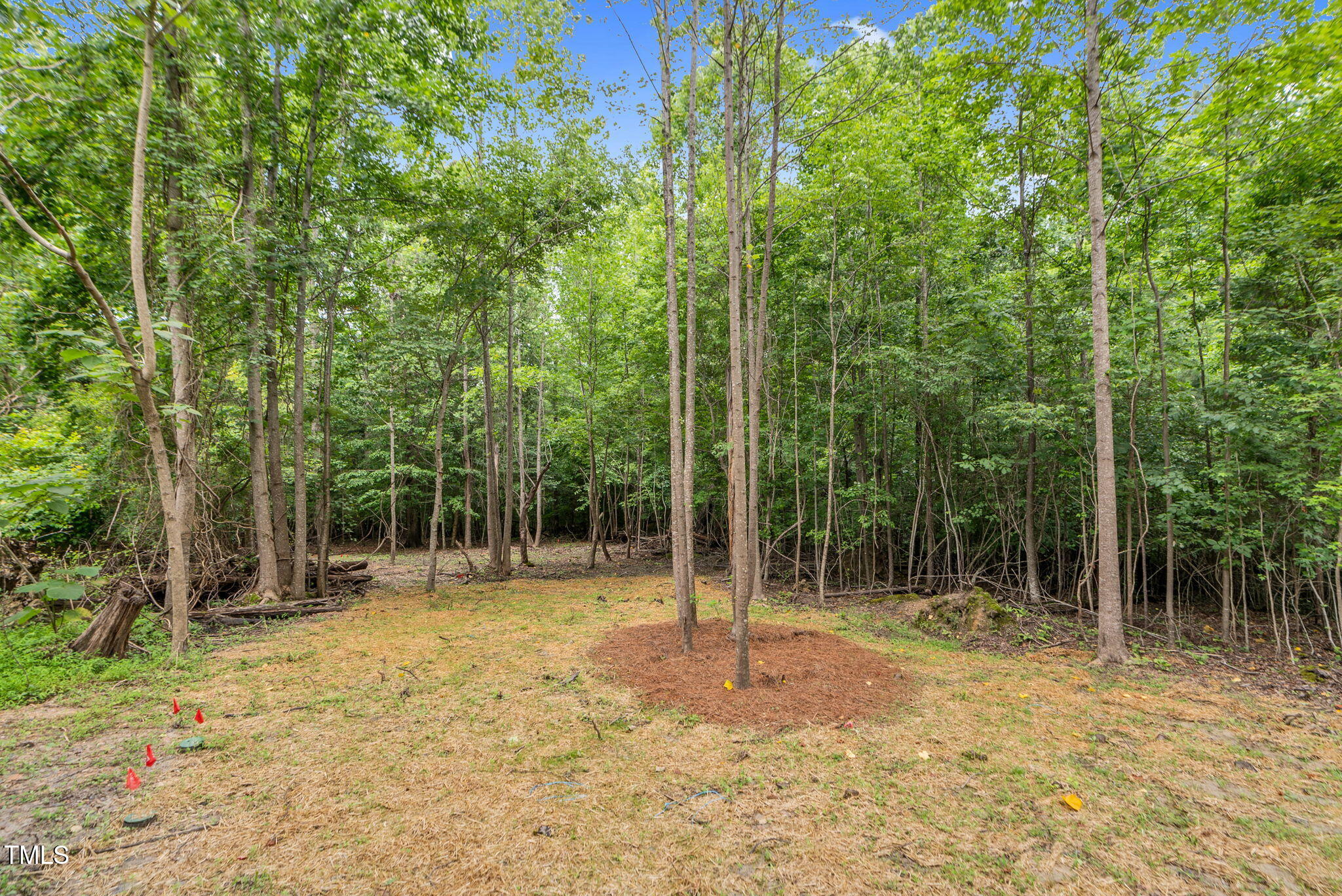 5504 Earle Road Raleigh, NC 27606 - Photo 91 of 103 5504 Earle Road-95