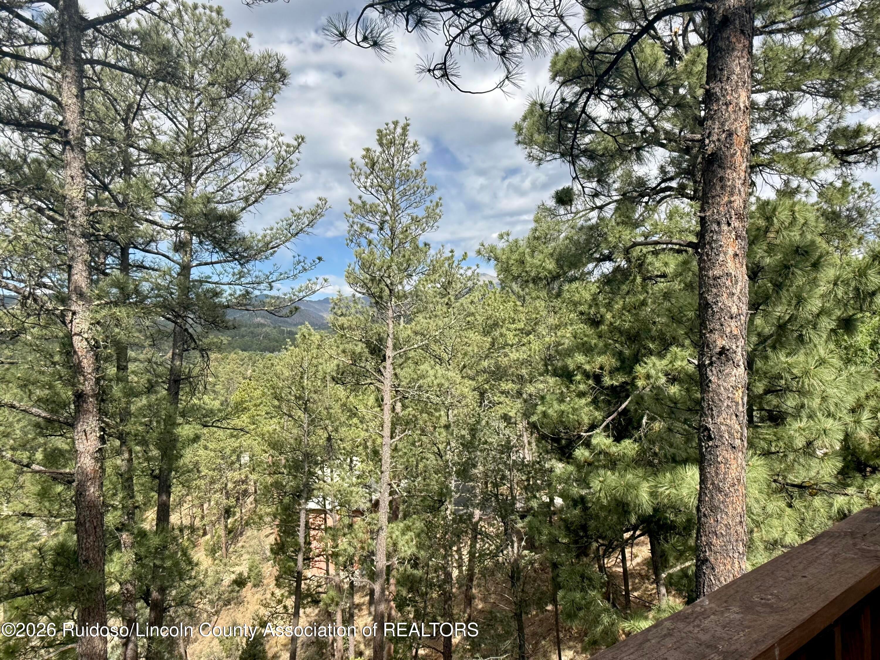220 Lookout Drive, Unit J2 Ruidoso, NM 88345 - Photo 41 of 43 Gallery Image 41