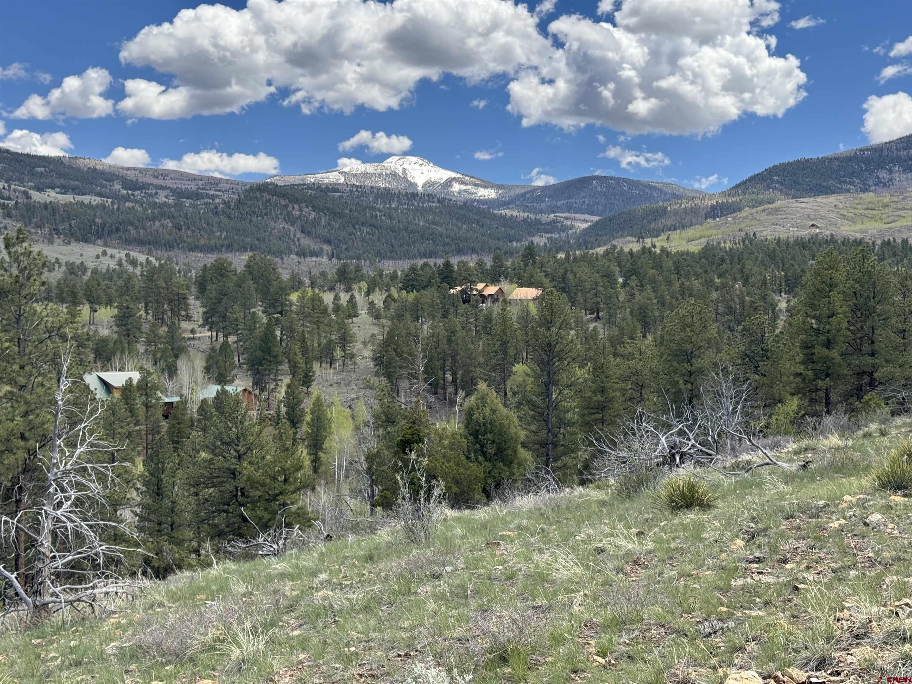 150 Rickel Circle South Fork, CO 81154 - Photo 11 of 11