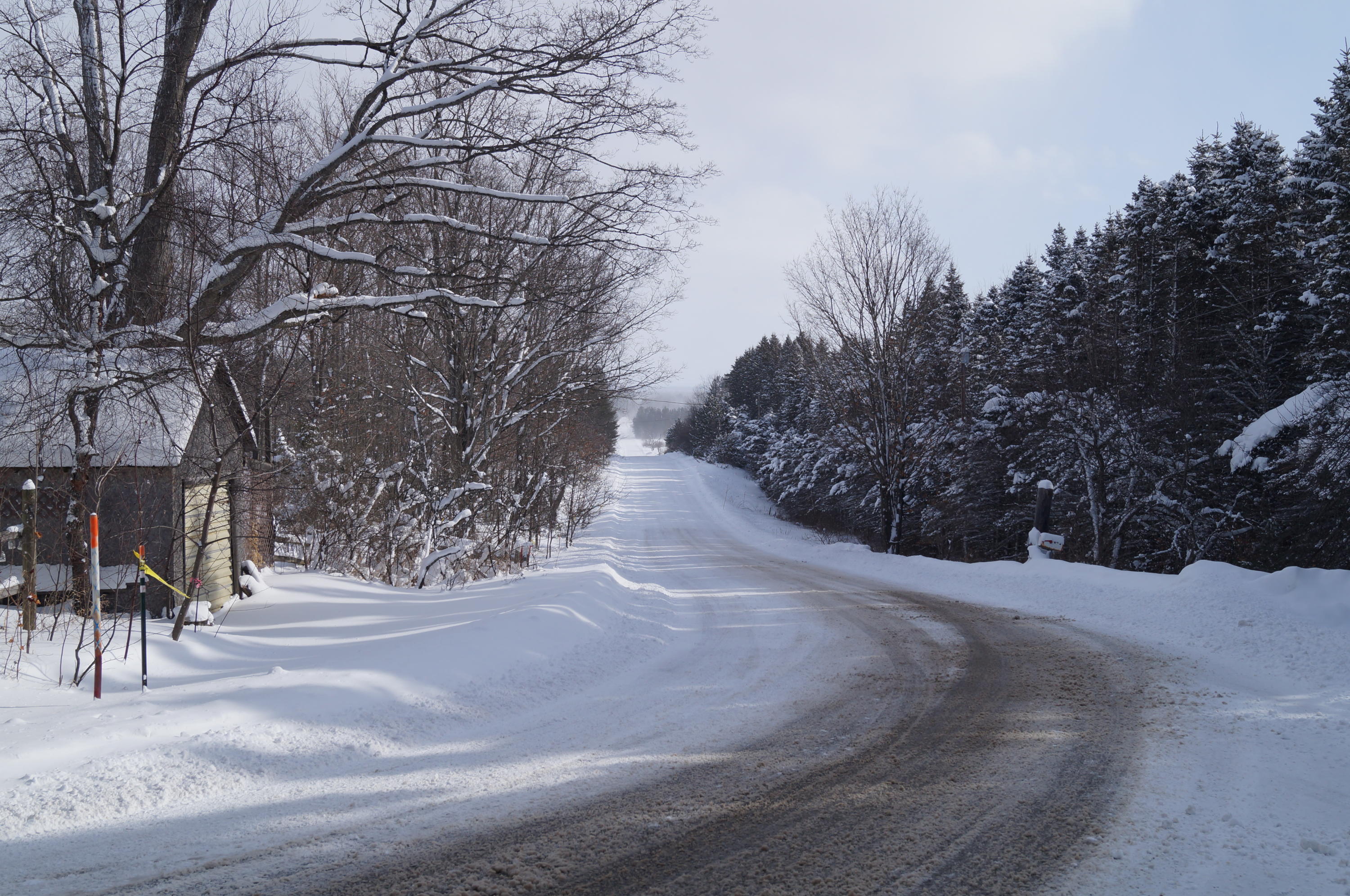 0 Red School Road Brutus, MI 49716 - Photo 3 of 7 Gallery Image 3