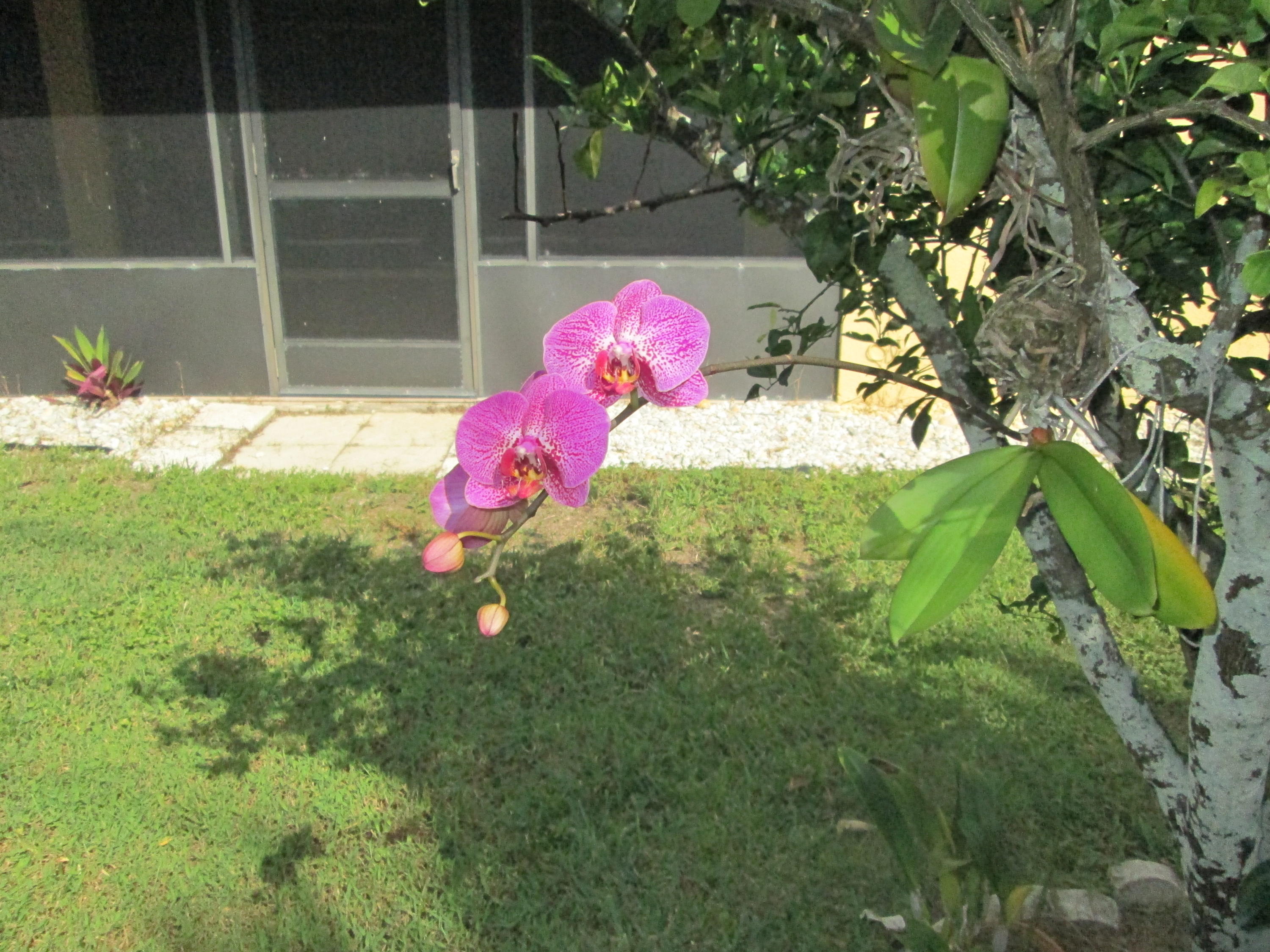 108 Cape Pointe Circle Jupiter, FL 33477 - Photo 10 of 36 IMG_0889