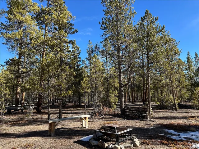 $60,000 | 361 Fir Drive, Leadville, CO 80461