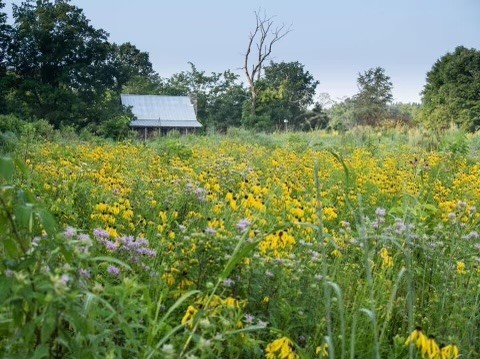 140 Nichols Road Hohenwald, TN 38462 - Photo 7 of 30 Gallery Image 7