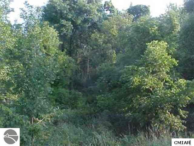 10580 Blackmer Road Carson City, MI 48811 - Photo 2 of 2 1765250-1.JPG