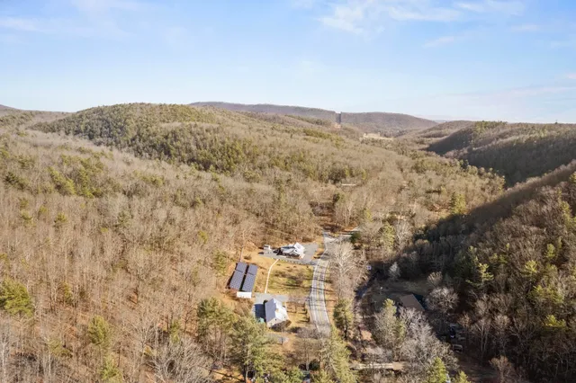 a view of a park with large trees