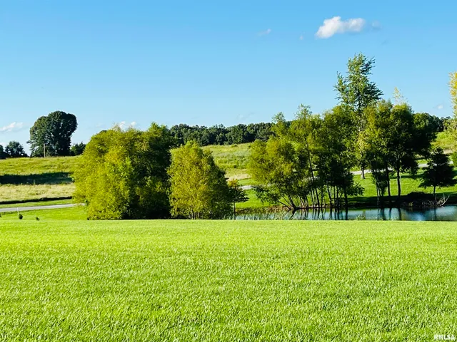 $30,000 | 0 Shannon Lake Lane, Anna, IL 62906