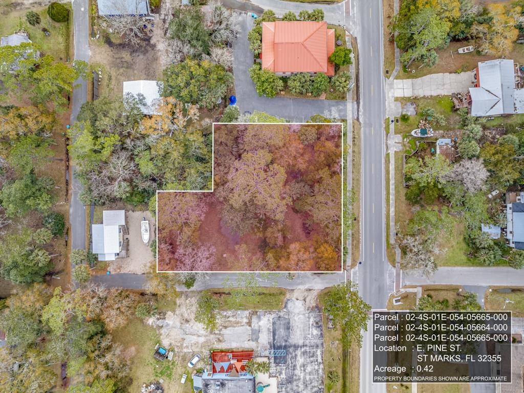 19 East Pine Street St. Marks, FL 32355 - Photo 21 of 24