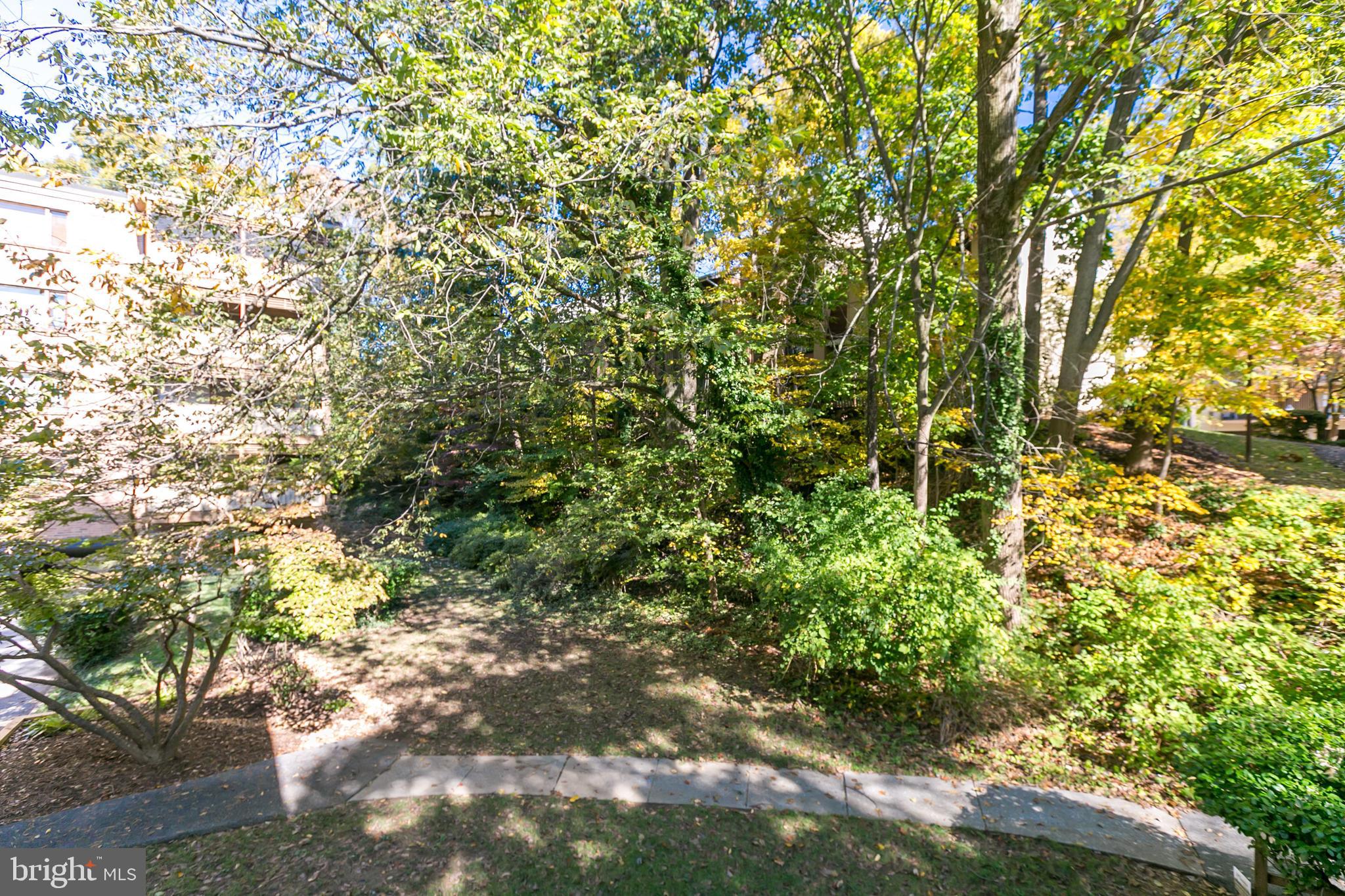 17 Hamill Road, Unit 17C Baltimore, MD 21210 - Photo 11 of 14
