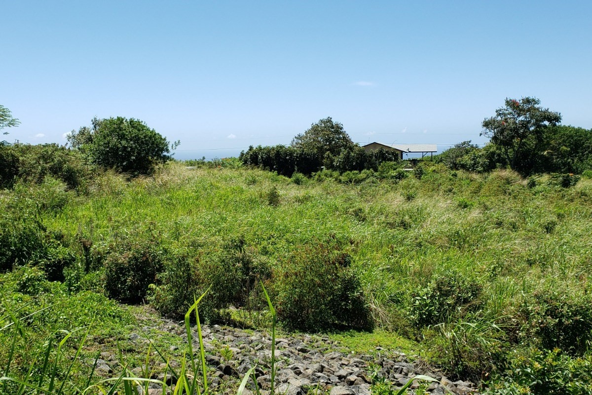 5 Kai Kane Loop Naalehu, HI 96772 - Photo 3 of 7 a view of a garden