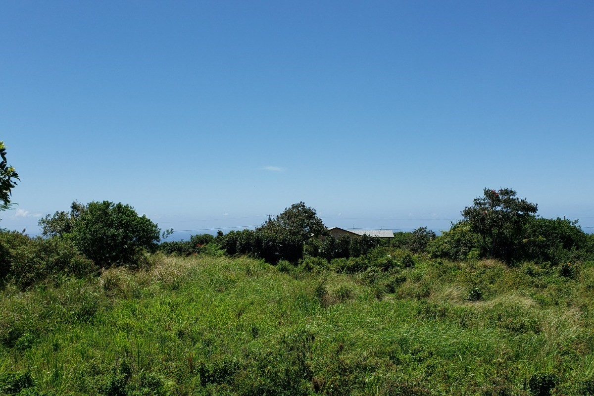 5 Kai Kane Loop Naalehu, HI 96772 - Photo 4 of 7 a view of a green field with lots of bushes
