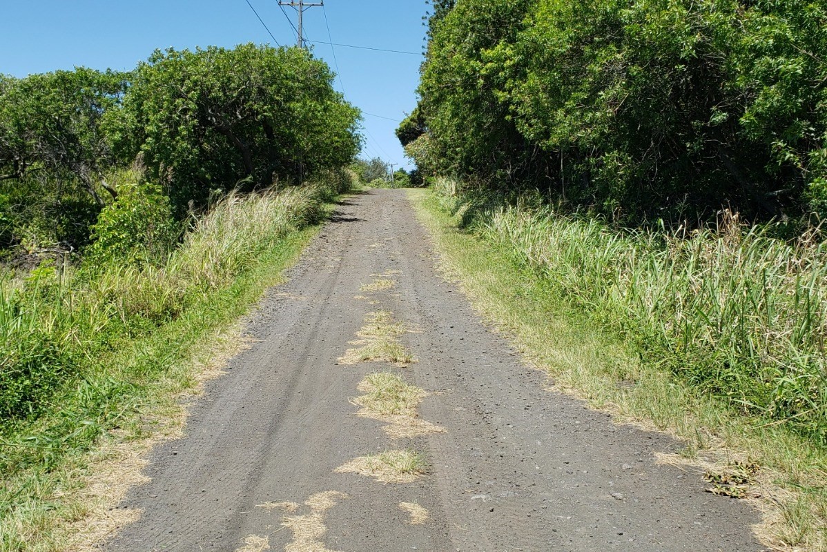 5 Kai Kane Loop Naalehu, HI 96772 - Photo 6 of 7 a view of a pathway both side of yard