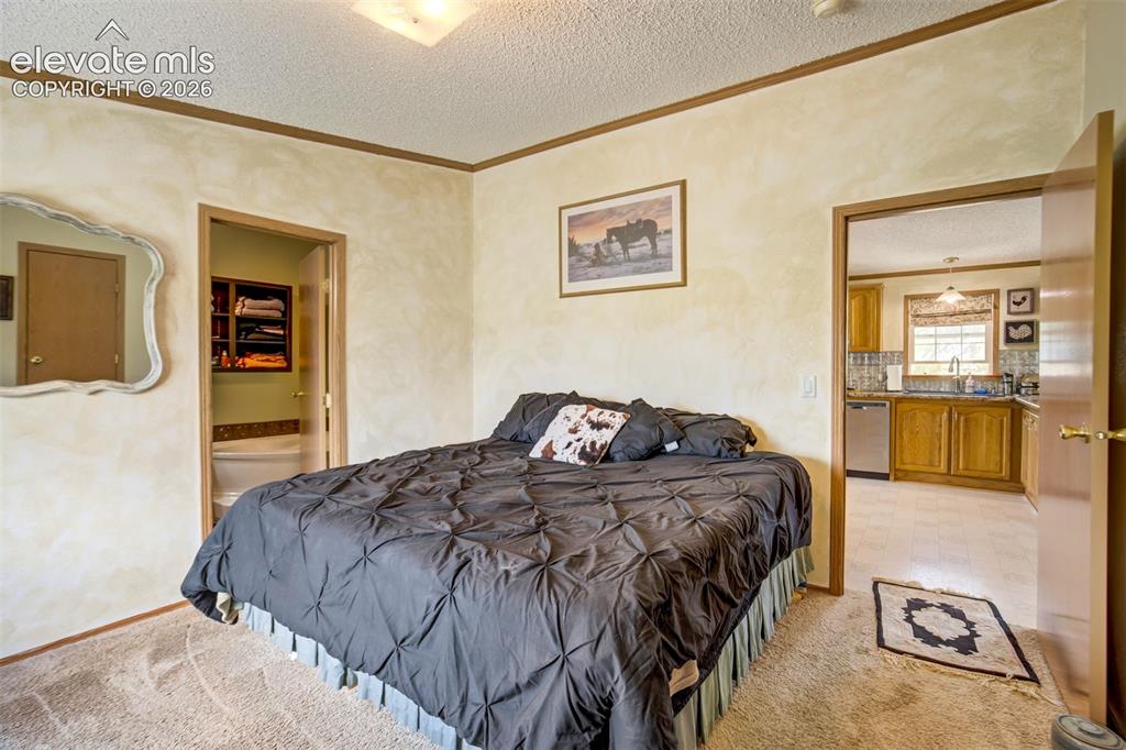 22120 McDaniels Road Calhan, CO 80808 - Photo 13 of 49